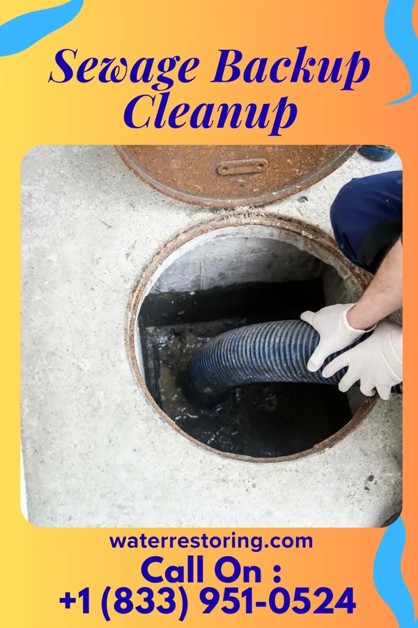 Sewage Backup Cleanup in Higden, AR